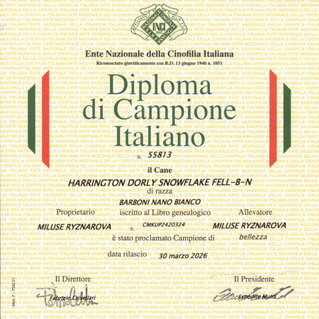 Italský šampion krásy